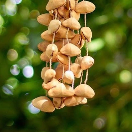 Kenari Seed Rattle