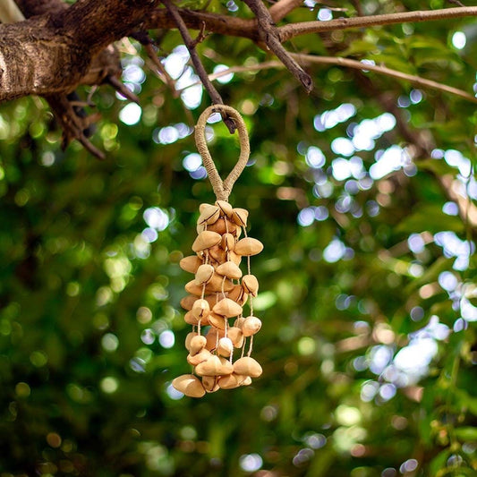 Kenari Seed Rattle